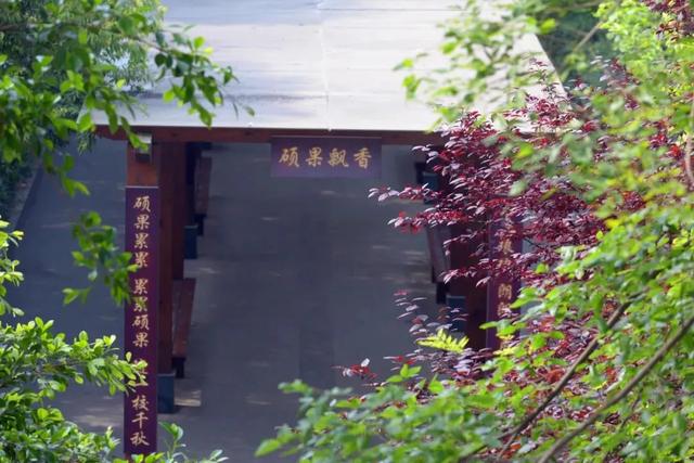 成都電子信息學校(成都電子信息學校學費)