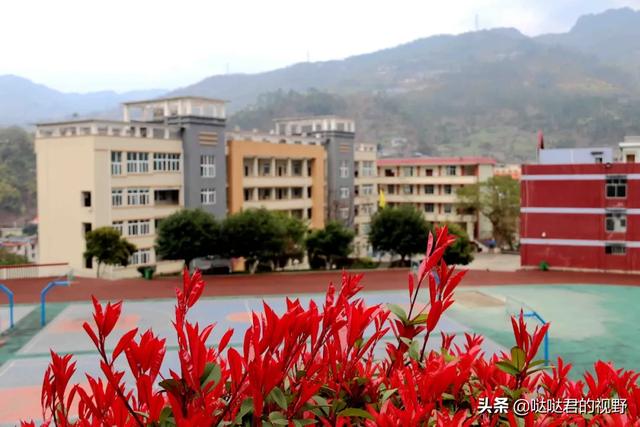 四川省犍為職業(yè)高級(jí)中學(xué)(四川省犍為職業(yè)高級(jí)中學(xué)官網(wǎng))