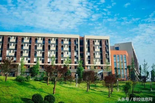 成都職業(yè)學校排名幼師(合肥幼師職業(yè)學校排名)