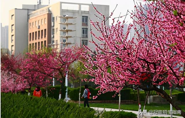 四川初中畢業(yè)可以上哪些學校(四川初中畢業(yè)可以上哪些職業(yè)技術學校)