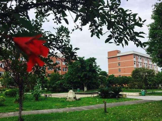四川中專職業(yè)學校排名(貴州中專職業(yè)學校排名大全)