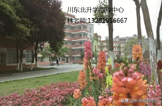 成都華陽(yáng)職業(yè)高級(jí)中學(xué)(華陽(yáng)職業(yè)高級(jí)中學(xué)官網(wǎng))