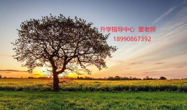 四川省儀隴縣扶輪育才職業(yè)中學校(四川省儀隴縣扶輪育才職業(yè)中學校官網(wǎng))
