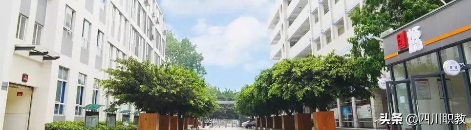 成都市洞子口職業(yè)高級中學(成都市洞子口職業(yè)高級中學校官網(wǎng))