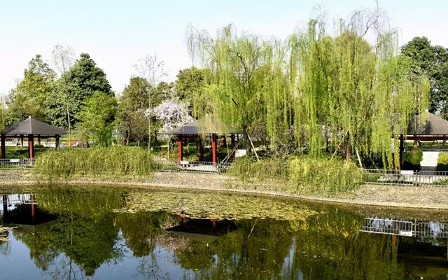 成都有哪些職業(yè)技術(shù)學(xué)校可以專升本的(成都航空職業(yè)技術(shù)學(xué)校有哪些)