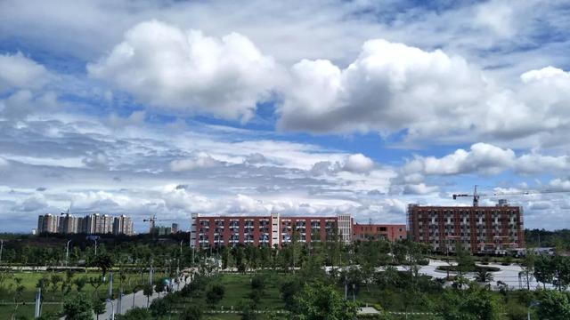 四川幼兒師范高等?？茖W(xué)校(四川幼兒師范高等專科學(xué)校代碼)