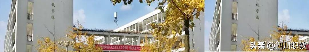 成都商務(wù)學院分數(shù)線(中原工學院信息商務(wù)學院分數(shù)線)