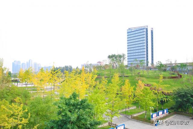 成都工業(yè)職業(yè)學校(成都工業(yè)職業(yè)技術學校地址)