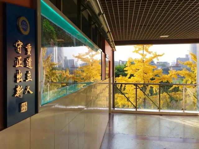 四川鐵路學(xué)校好不(四川公辦鐵路職業(yè)學(xué)校有哪些)