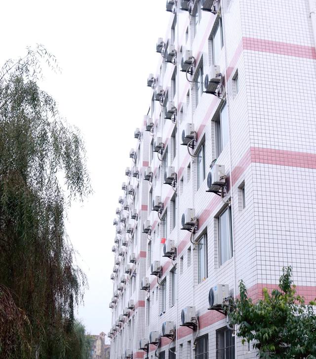 成都藝術(shù)職業(yè)學(xué)院學(xué)費(成都藝術(shù)職業(yè)學(xué)院鄧一)