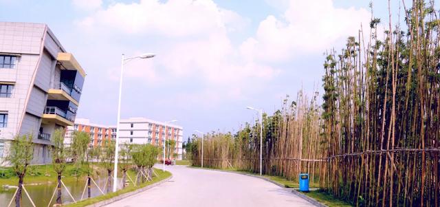 成都藝術(shù)職業(yè)學(xué)院學(xué)費(成都藝術(shù)職業(yè)學(xué)院鄧一)