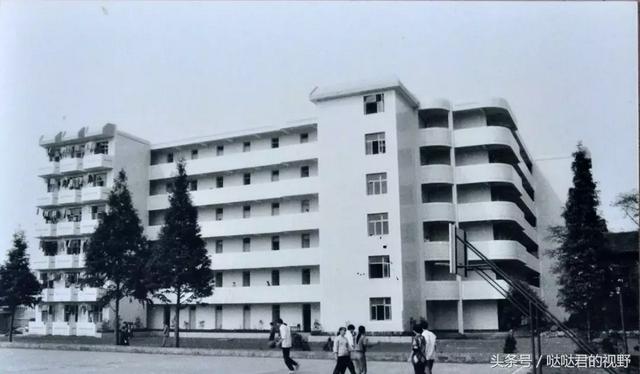 樂山市第一職業(yè)中專學(xué)校(樂山市竹根職業(yè)中專學(xué)校校長)