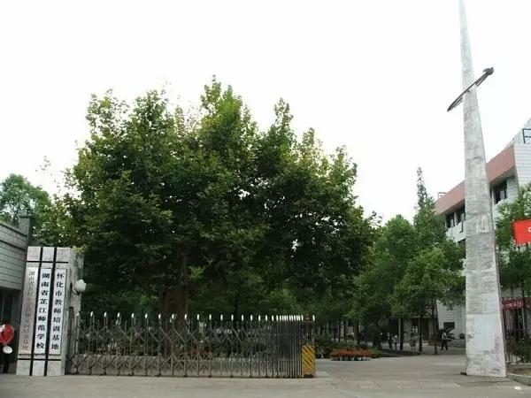 初中畢業(yè)藝術(shù)學校(初中畢業(yè)藝術(shù)學校招生要求)