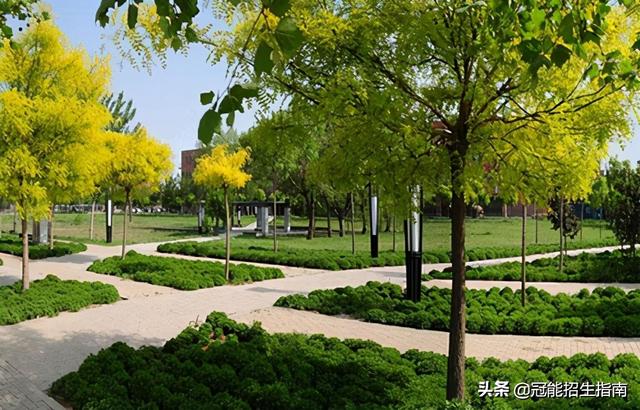 成都職業(yè)學校哪個比較好(成都西南航空職業(yè)學校在哪個區(qū))