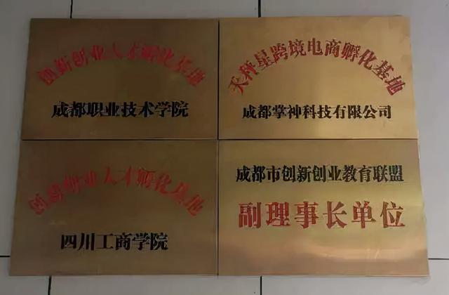 成都新區(qū)職業(yè)學校(天府航空學院)