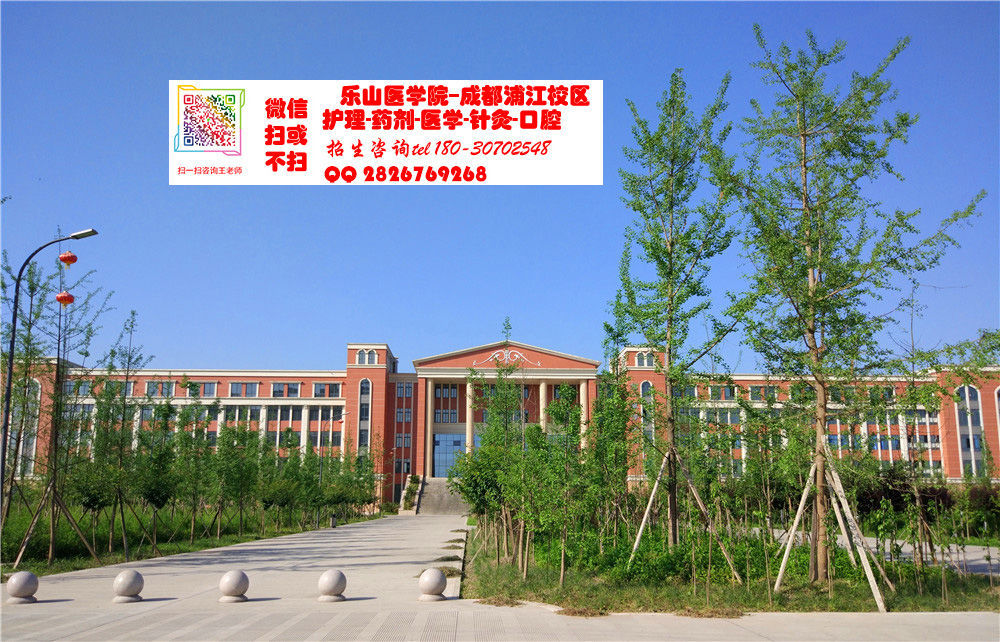 樂山技術學校(樂山技術學校地址)