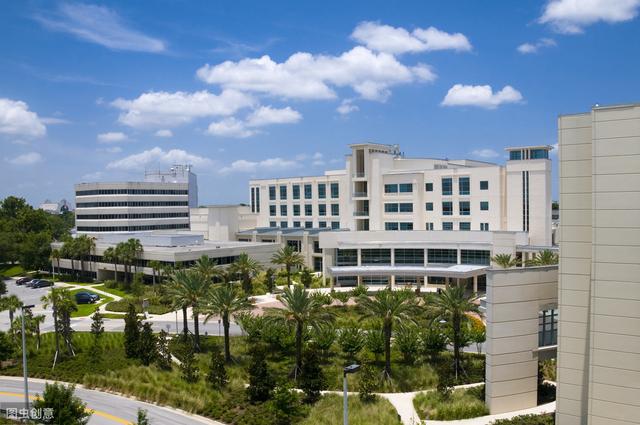 四川省南充衛(wèi)生學(xué)校(四川省南充衛(wèi)生學(xué)校官網(wǎng))圖2