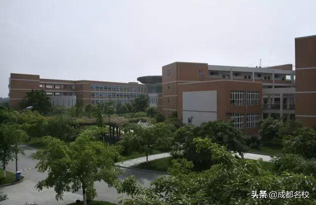 成都最貴的學(xué)校學(xué)費一年多少(泡桐樹小學(xué)學(xué)費)