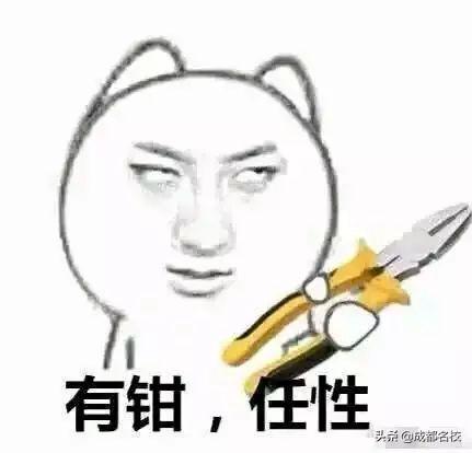 成都最貴的學(xué)校學(xué)費一年多少(泡桐樹小學(xué)學(xué)費)