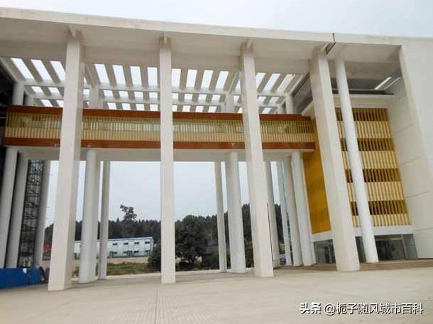 廣元職業(yè)學校有哪些(四川廣元有哪些職業(yè)學校)