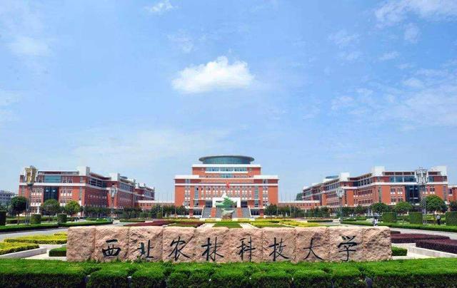 美術(shù)生最容易考的985大學(八大美院排名)