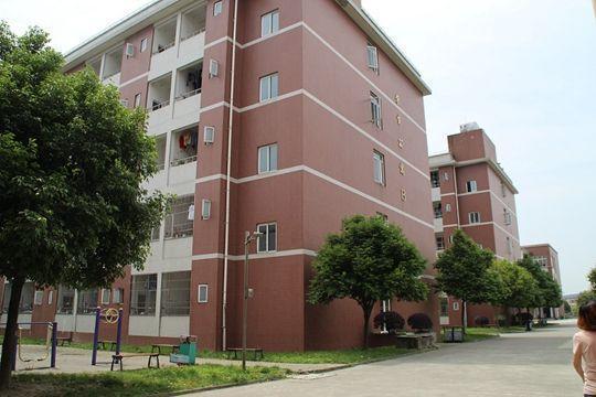 四川的衛(wèi)校有哪些學校(四川衛(wèi)校有哪些學校比較好)