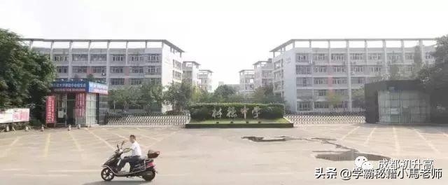 成都實用學校公辦(地址成都的大學分布)